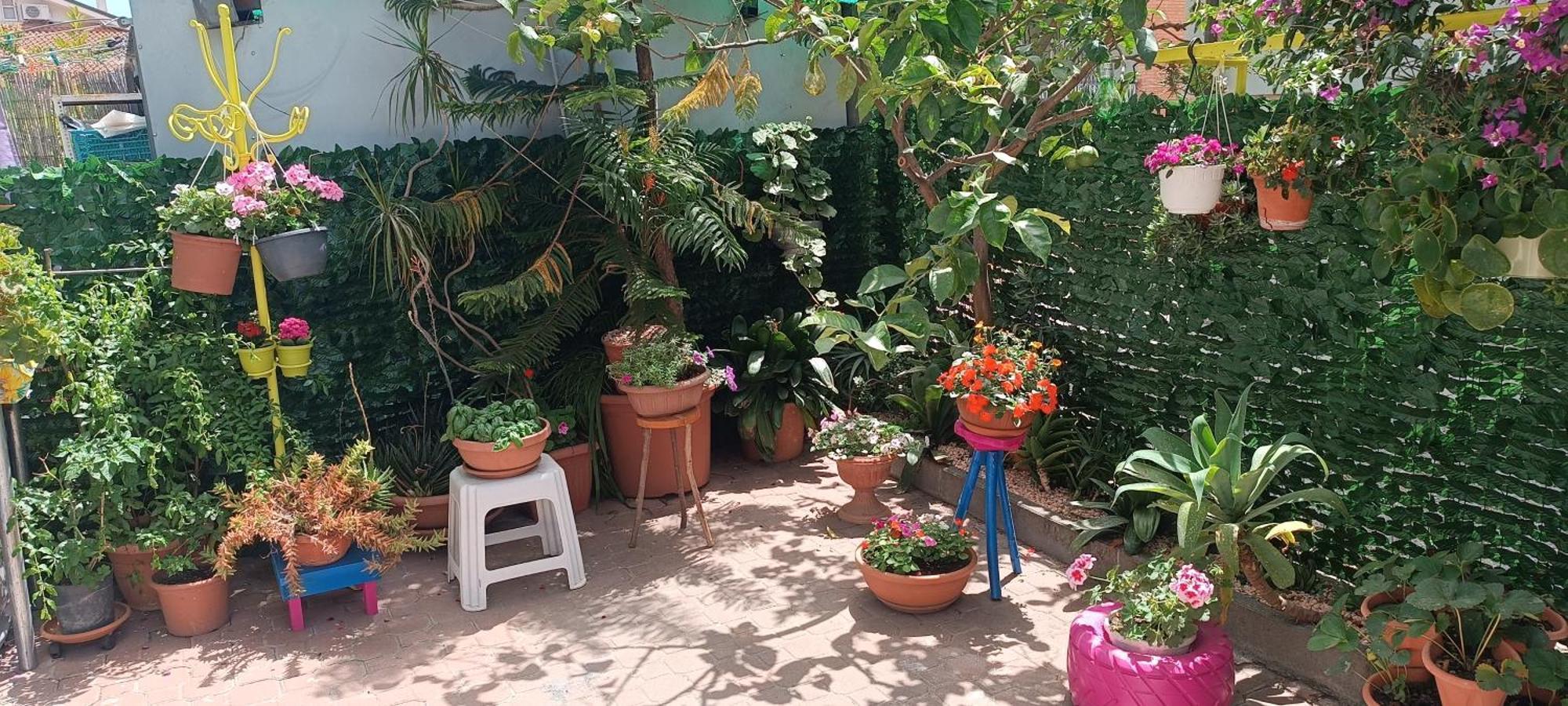 B&B Home Sweet Home Diano Marina Bagian luar foto