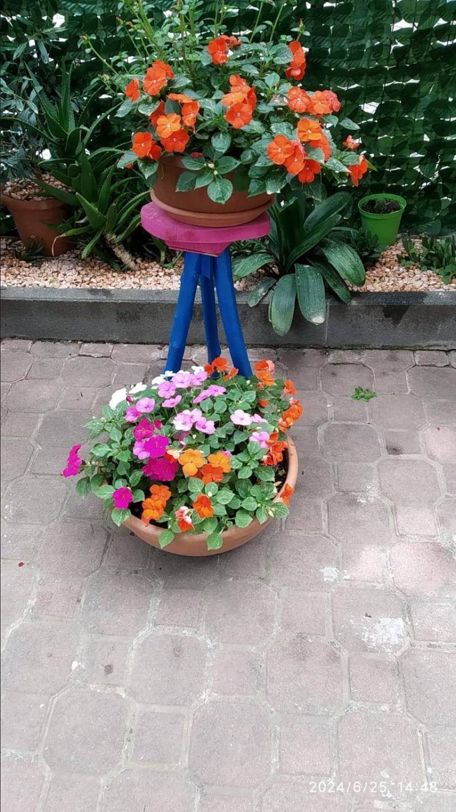 B&B Home Sweet Home Diano Marina Bagian luar foto